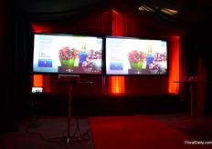 At the Benary location, they always make sure to have surprise element. This year, it was their Benary TV Channel where they presented their new products in a funny and television selling way.